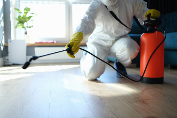 Trusted Sewage Cleanup service in Kenilworth, IL - Four Month Blood Cleanse